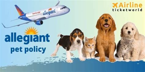 allegiant airlines pet policy